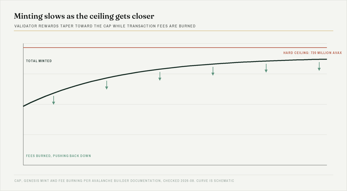 Curve of total minted AVAX flattening as it approaches the 720 million ceiling, with arrows showing fee burns pushing the total back down