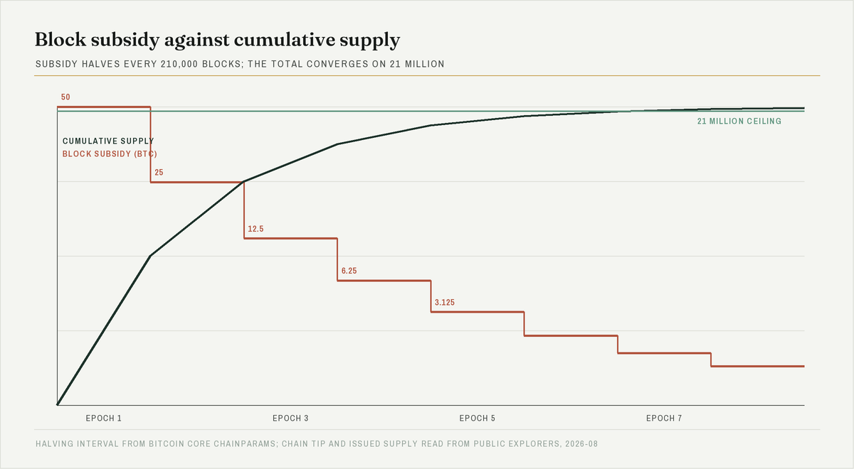 Chart showing the Bitcoin block subsidy stepping down by half at each halving while cumulative supply curves toward the 21 million ceiling
