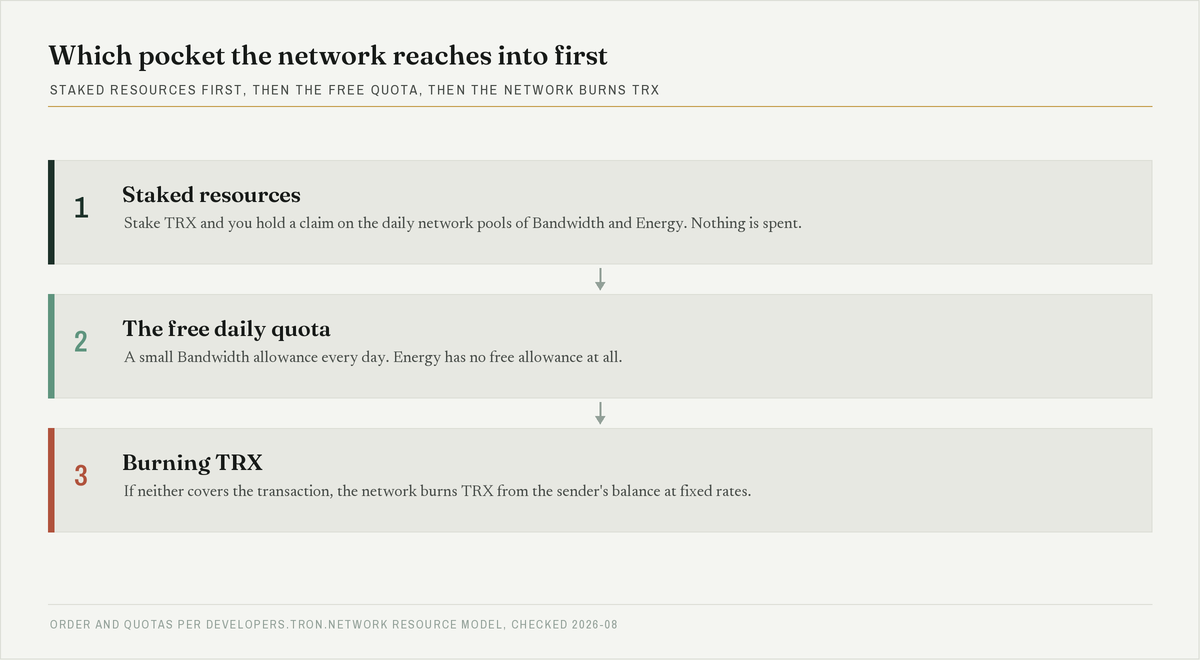 Three-step diagram showing the network drawing first on staked resources, then the free daily quota, then burning TRX